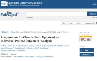“The Journal of Pain”: Metaanálisis sobre la eficacia de la acupuntura en el tratamiento del dolor crónico
