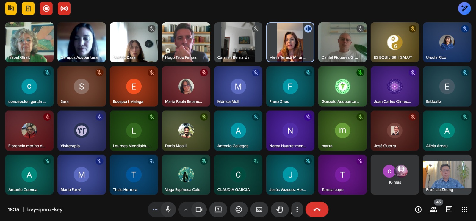 Webinar Día Mundial de la Acupuntura