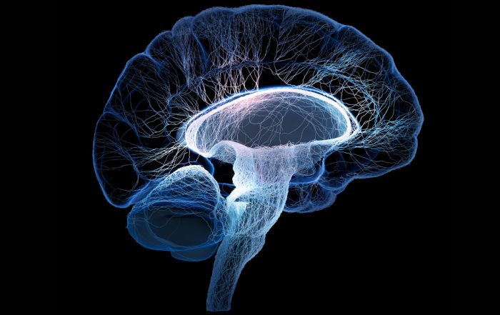 Neuroimagen y acupuntura en el deterioro cognitivo postictus