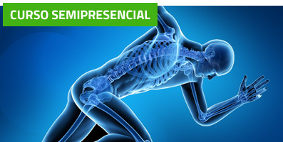 Curso en Estimulación Neuro-Refleja®: Acupuntura, electroacupuntura y neuromodulación en patologías musculoesqueléticas