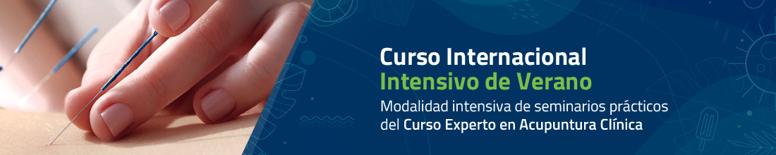 Curso Internacional de Verano