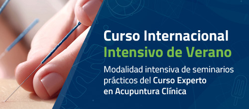 Curso Internacional de Verano