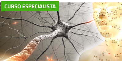 Curso de Acupuntura en el Tratamiento del Dolor