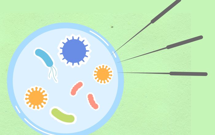 La acupuntura influye en múltiples enfermedades mediante la regulación de la microbiota intestinal